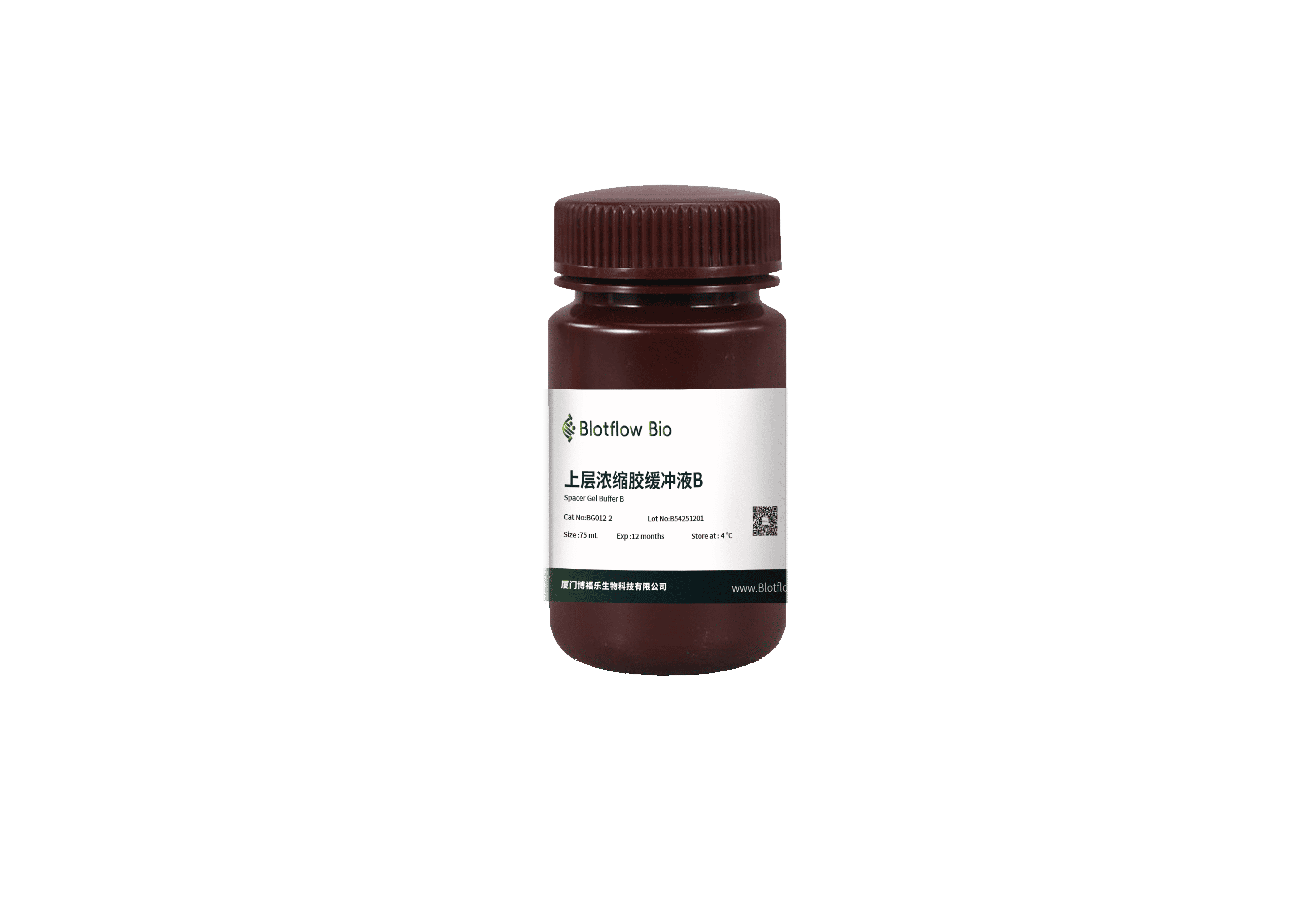 PAGE凝胶快速制备试剂盒（下层8%）