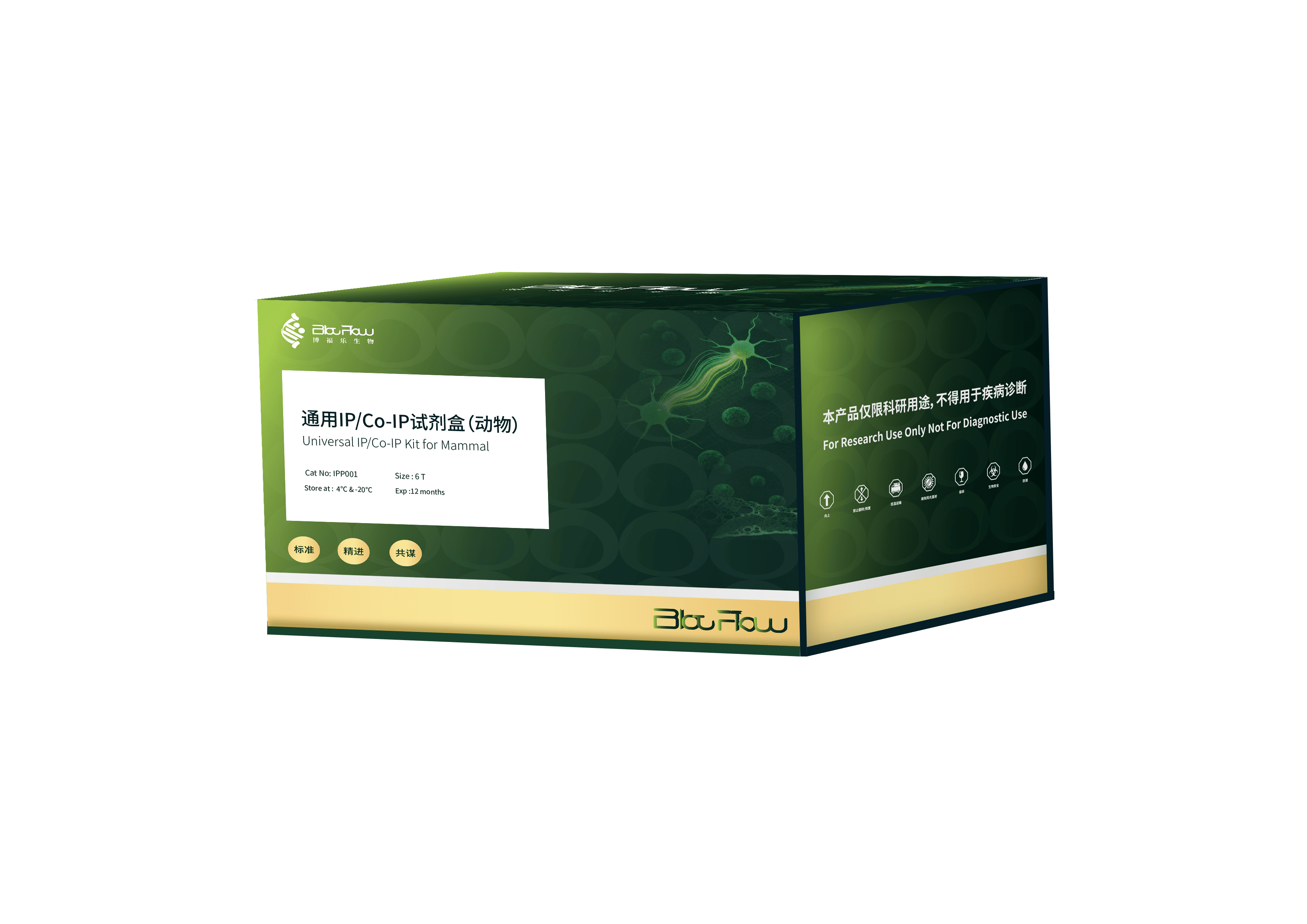 通用IP/Co-IP试剂盒（动物）