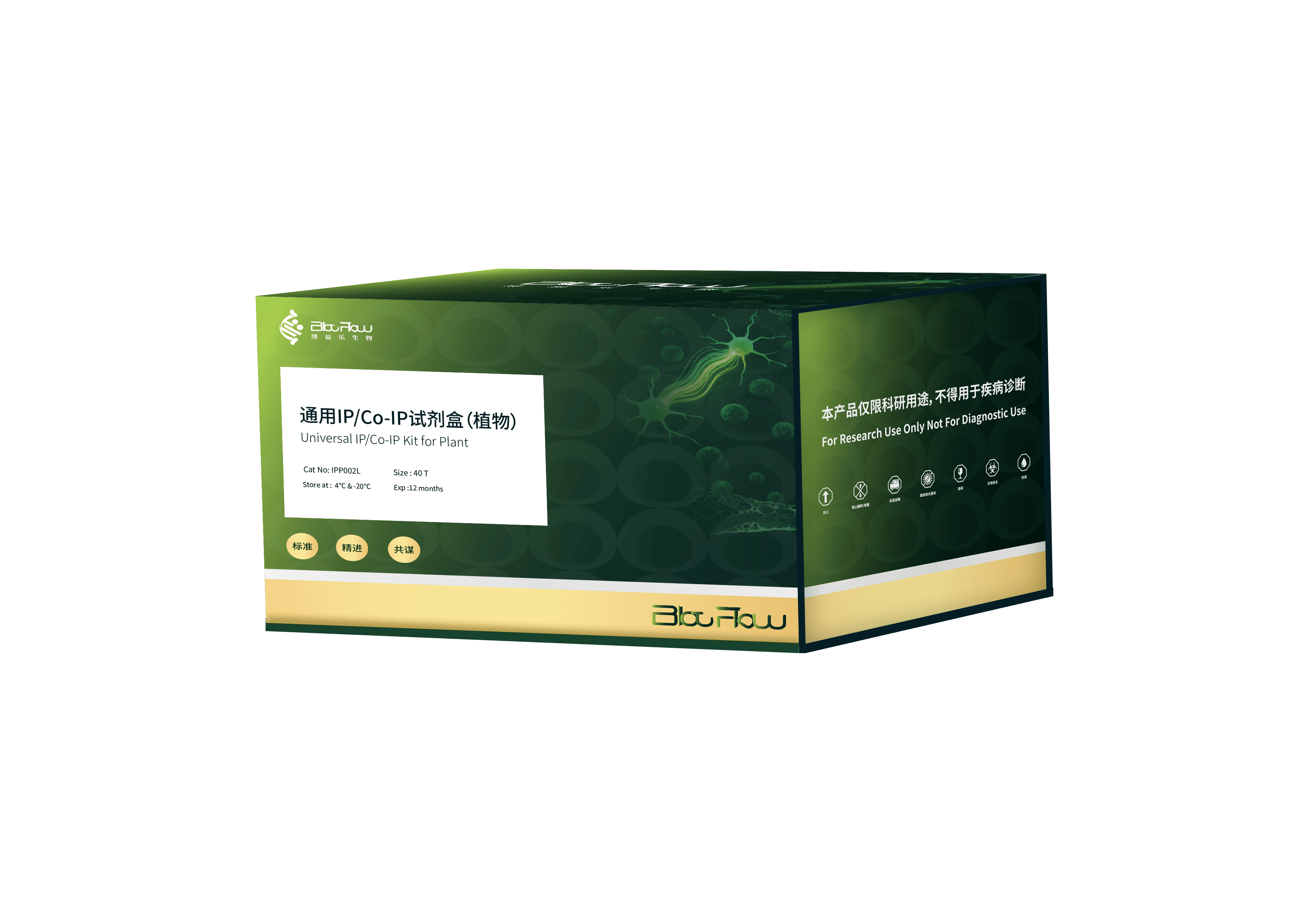 通用IP/Co-IP试剂盒（植物）
