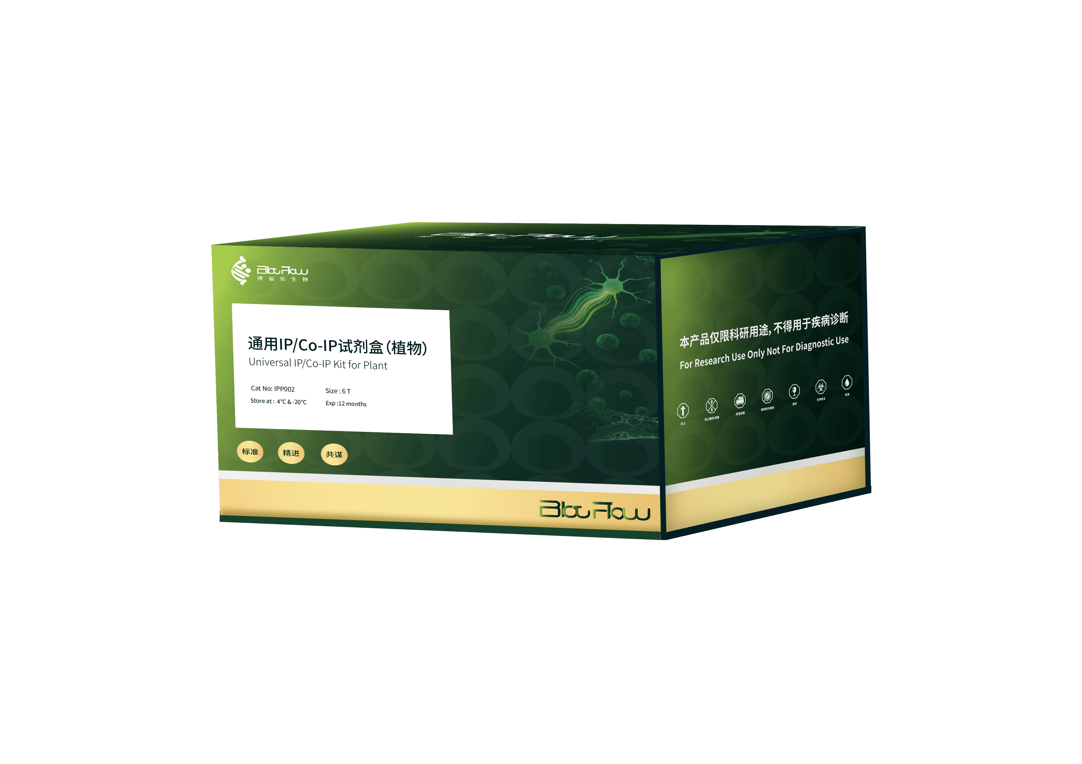 通用IP/Co-IP试剂盒（植物）