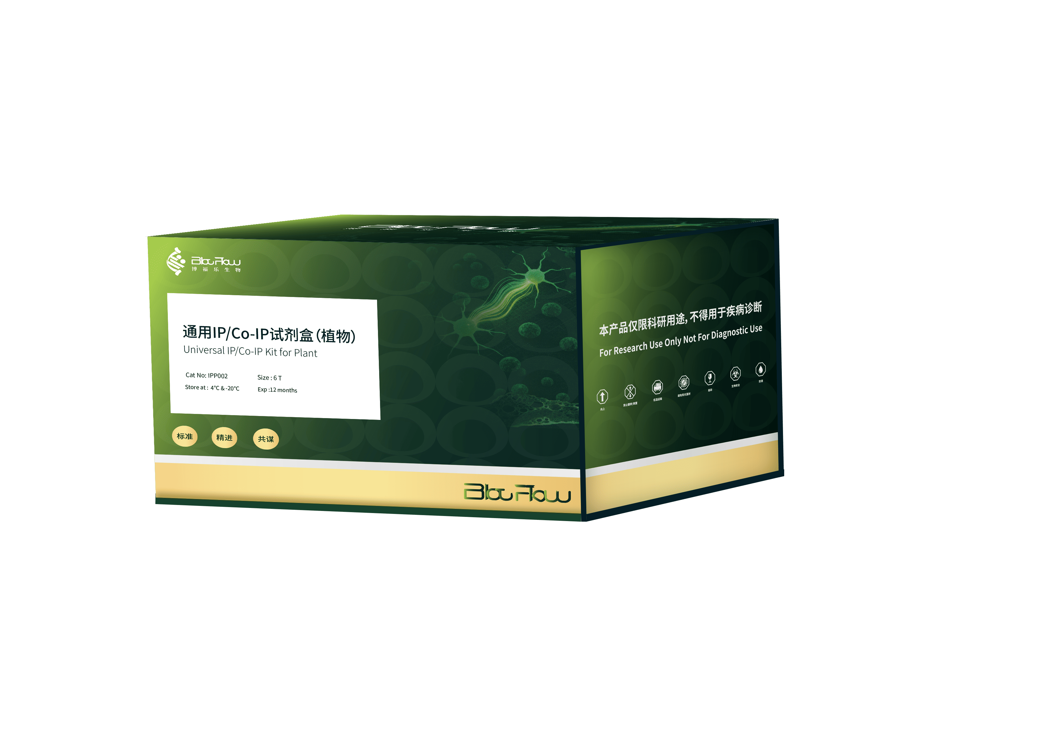 经典磁珠法IP/Co-IP试剂盒（动物）