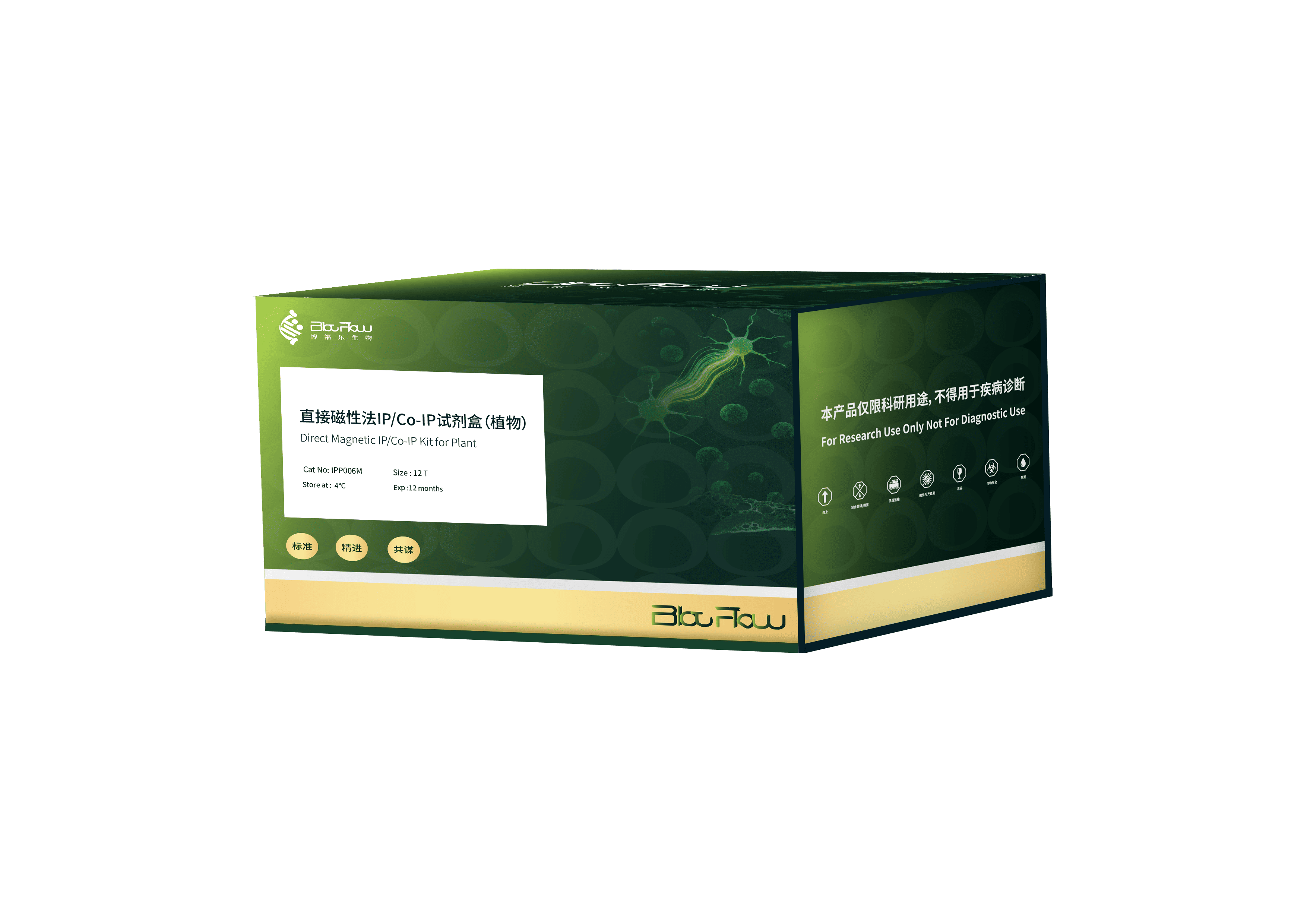直接磁性法IP/Co-IP试剂盒（植物）