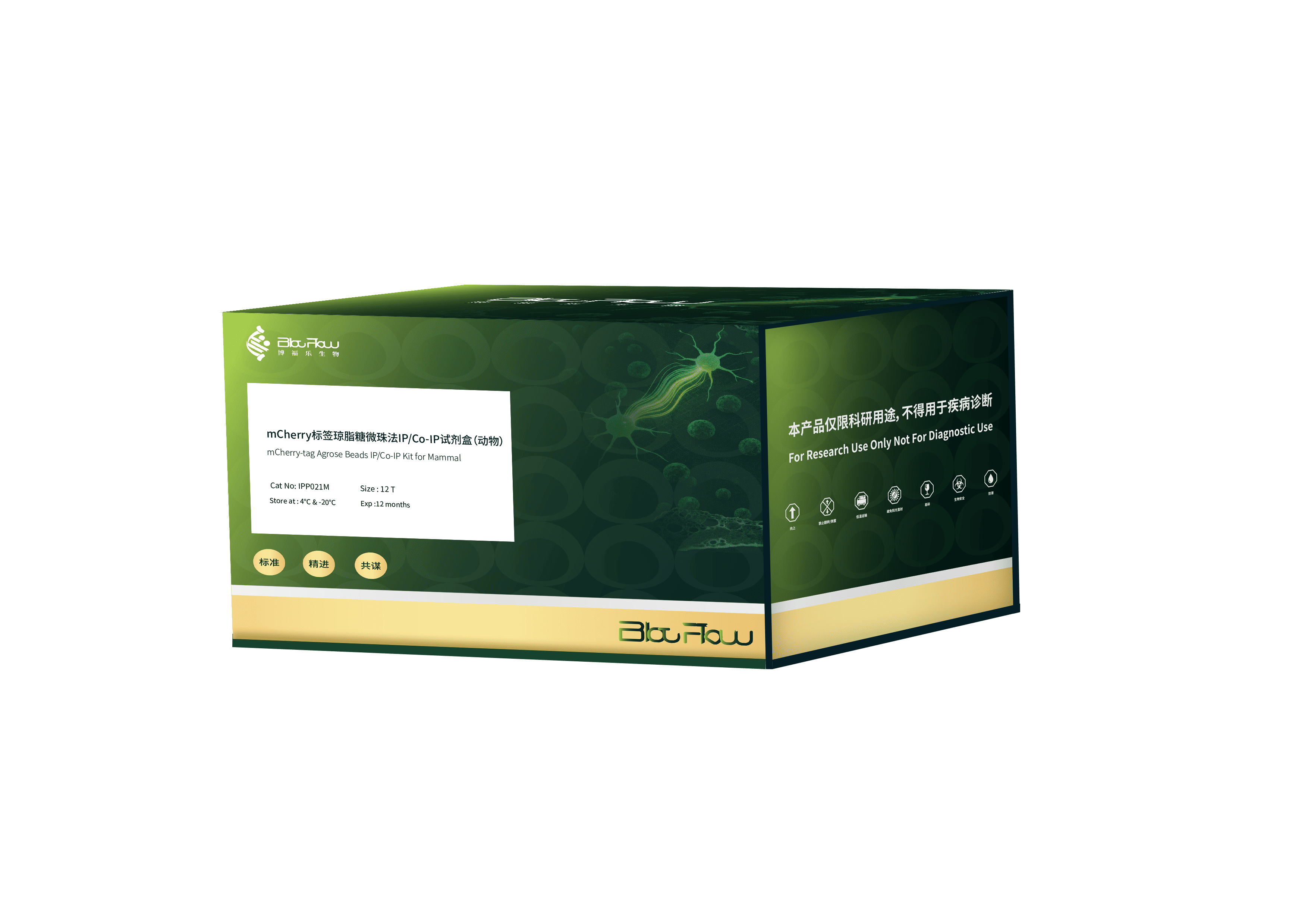 mCherry标签琼脂糖微珠法IP/Co-IP试剂盒（动物）