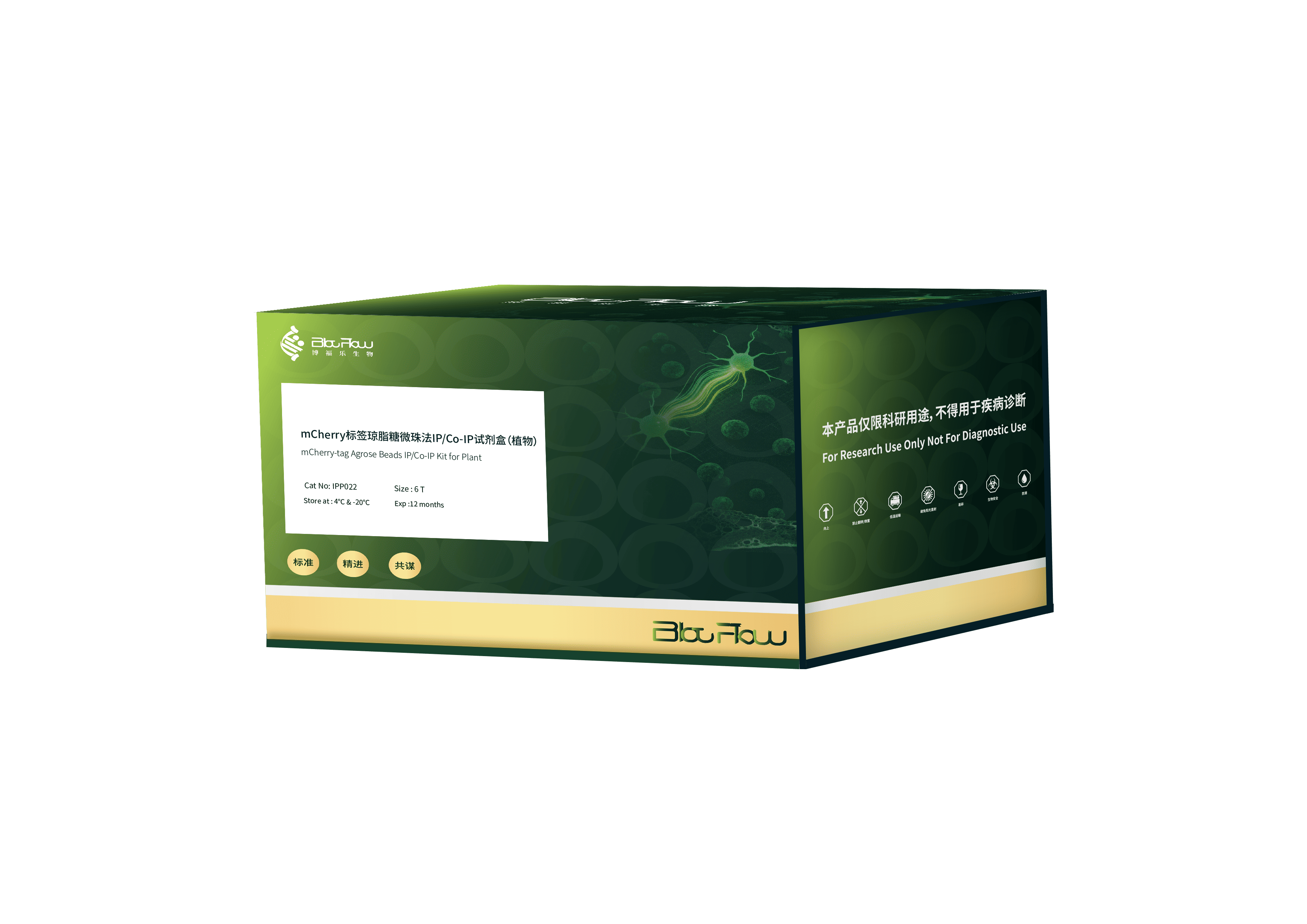 mCherry标签琼脂糖微珠法IP/Co-IP试剂盒（植物）