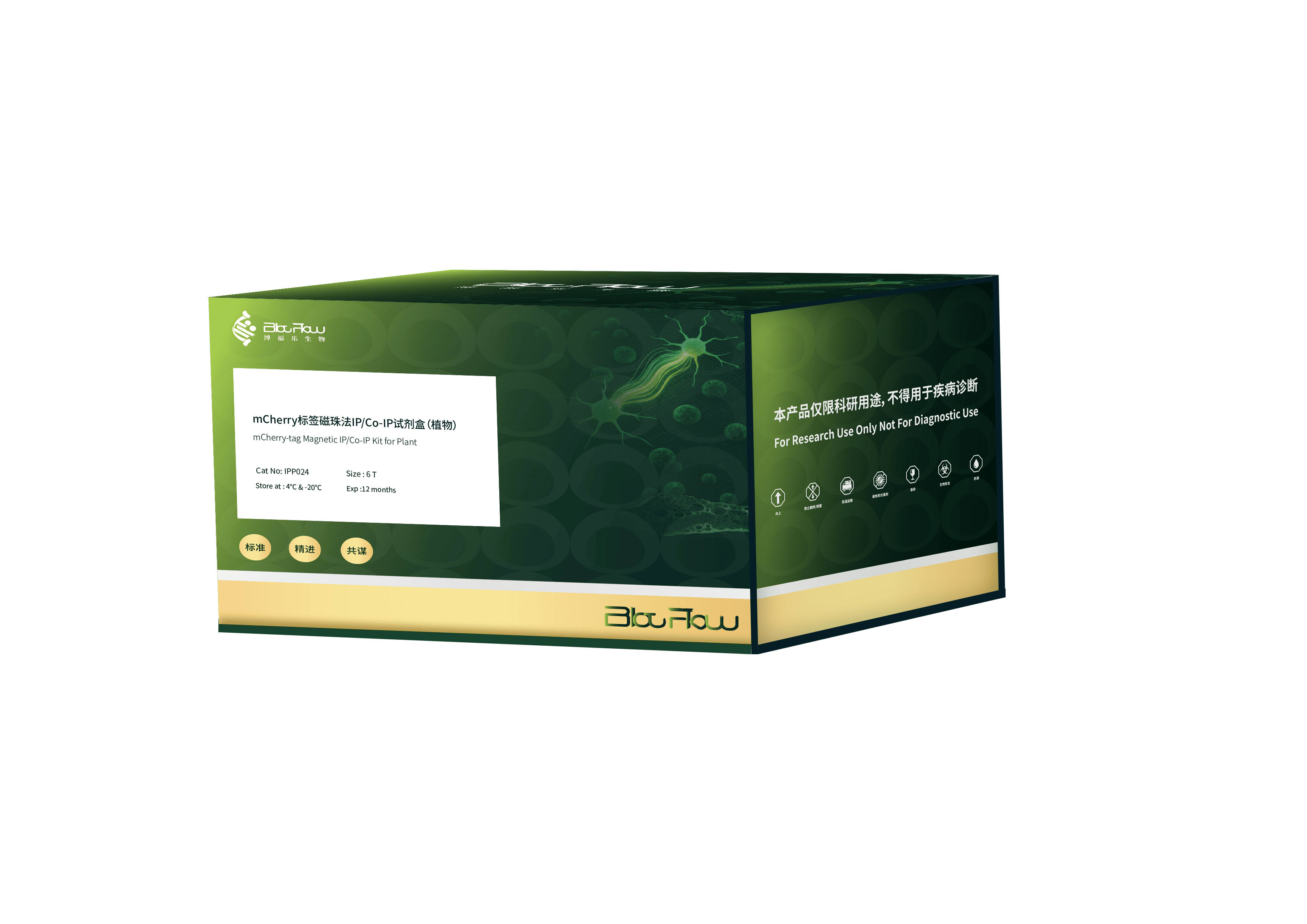 mCherry标签磁珠法IP/Co-IP试剂盒（植物）