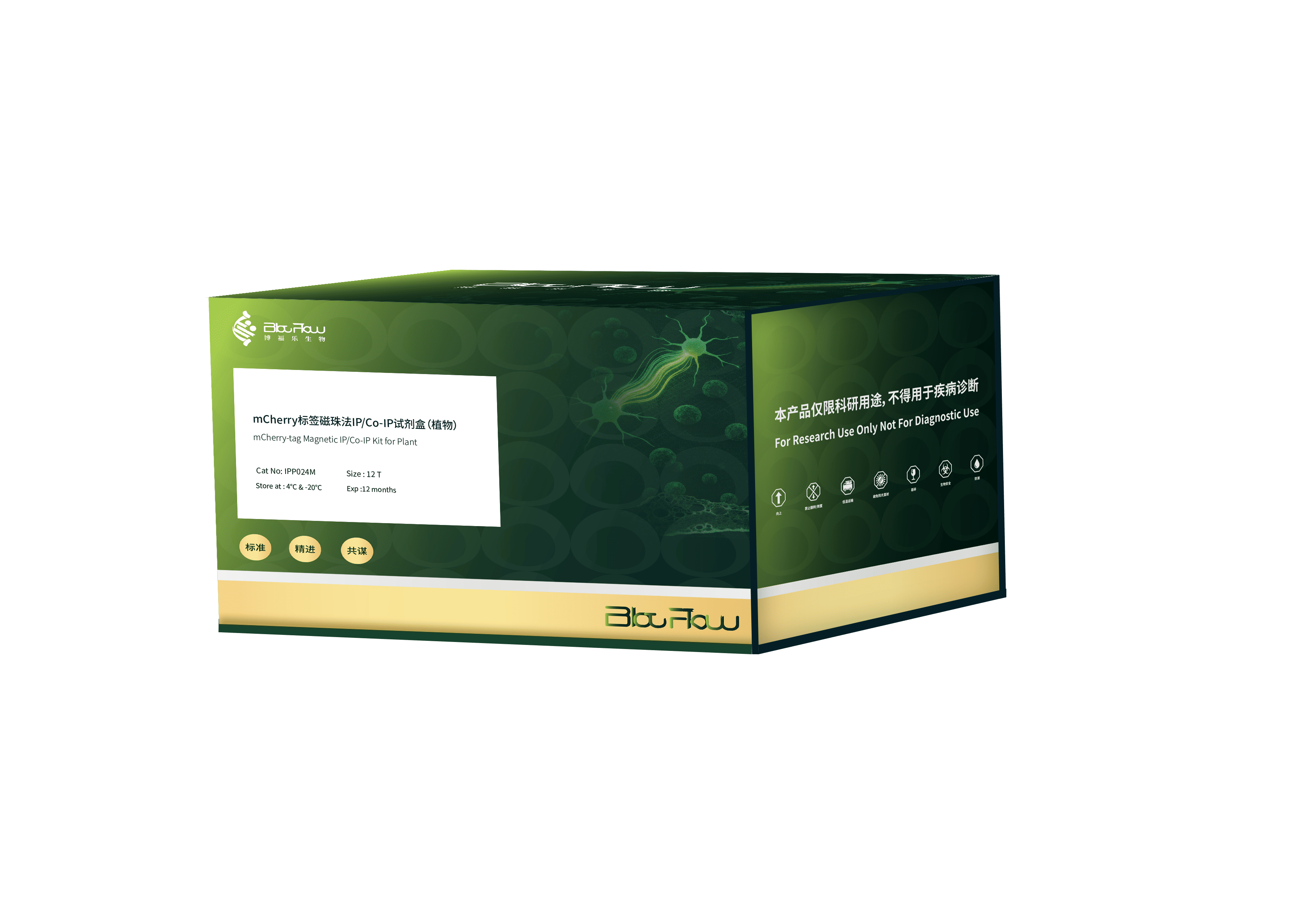 mCherry标签磁珠法IP/Co-IP试剂盒（植物）