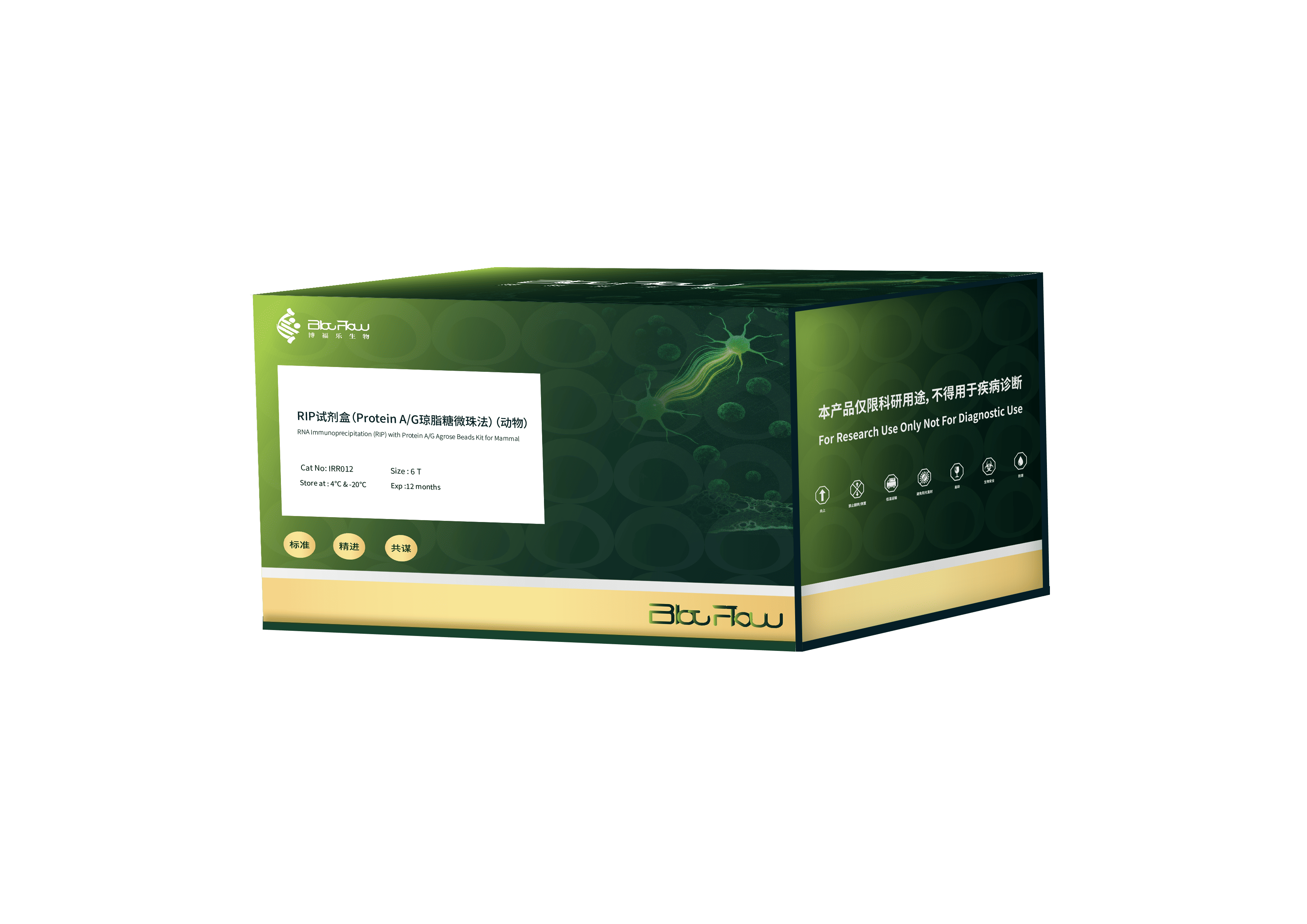 RIP试剂盒（Protein A/G琼脂糖微珠法）（动物）