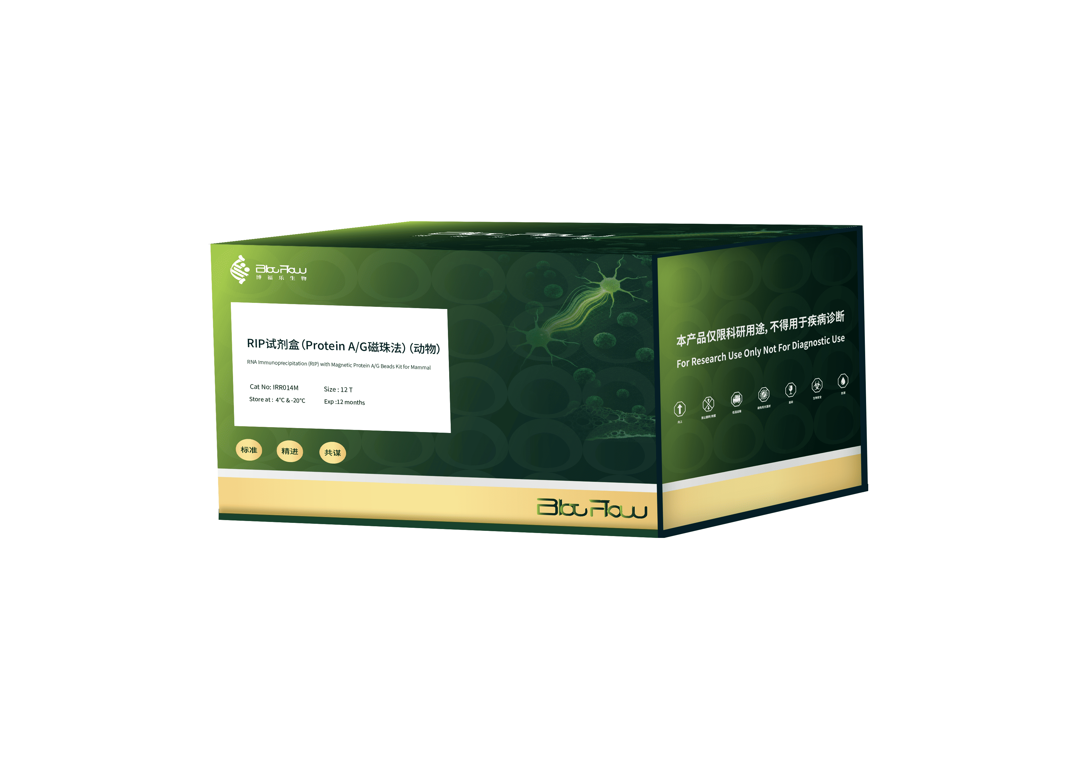 RIP试剂盒（Protein A/G磁珠法）（动物）
