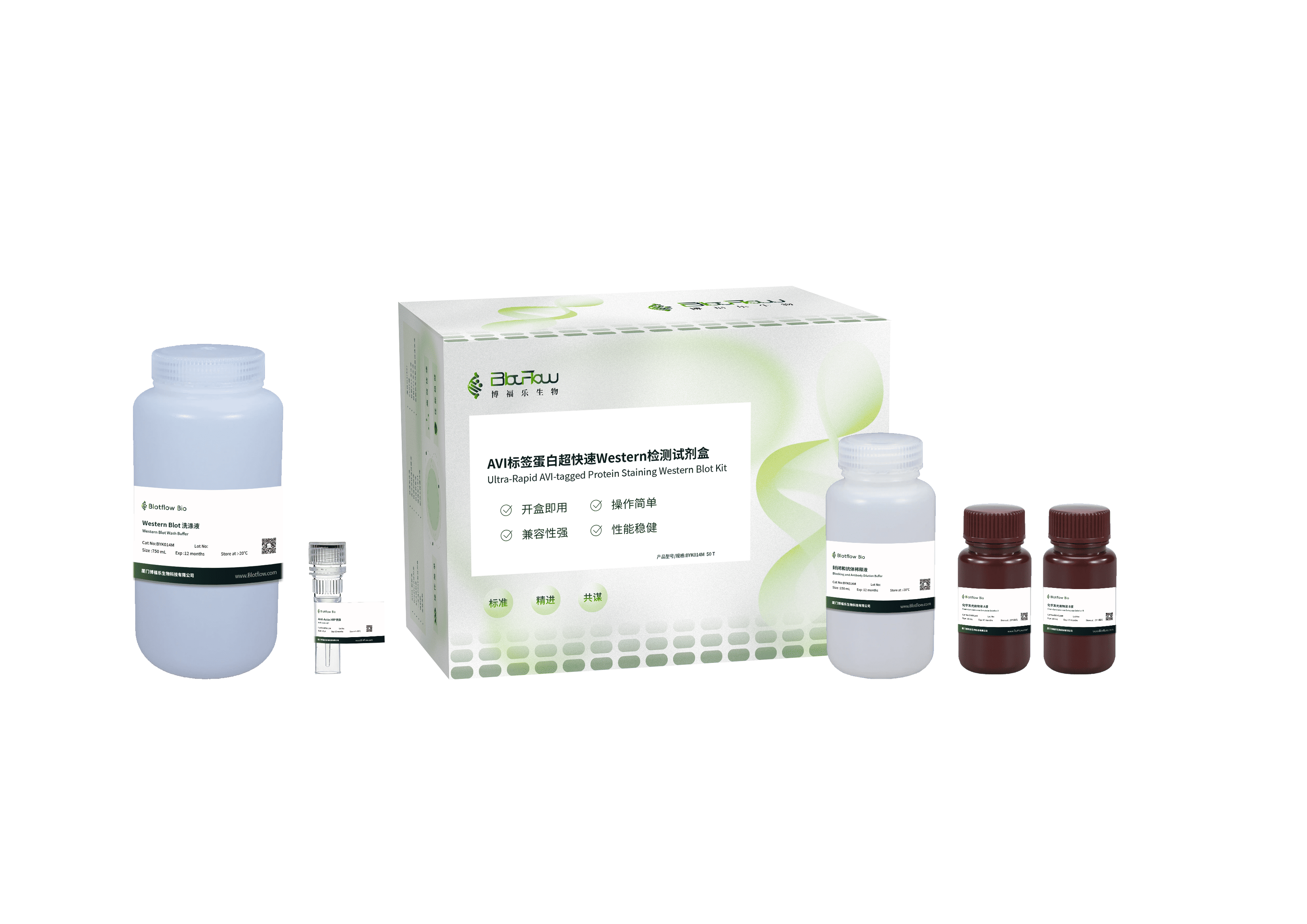 AVI标签蛋白超快速Western检测试剂盒