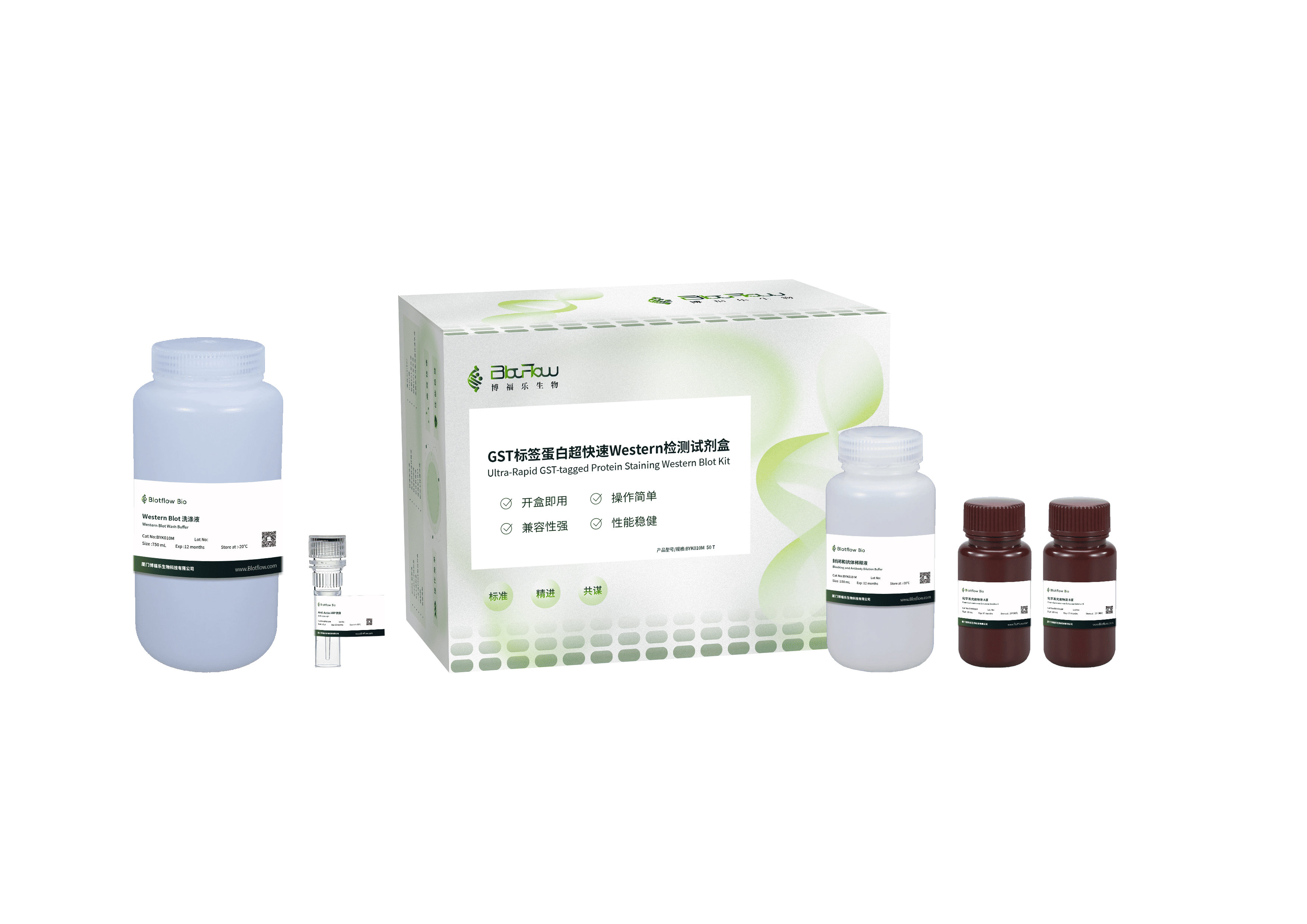 GST标签蛋白超快速Western检测试剂盒