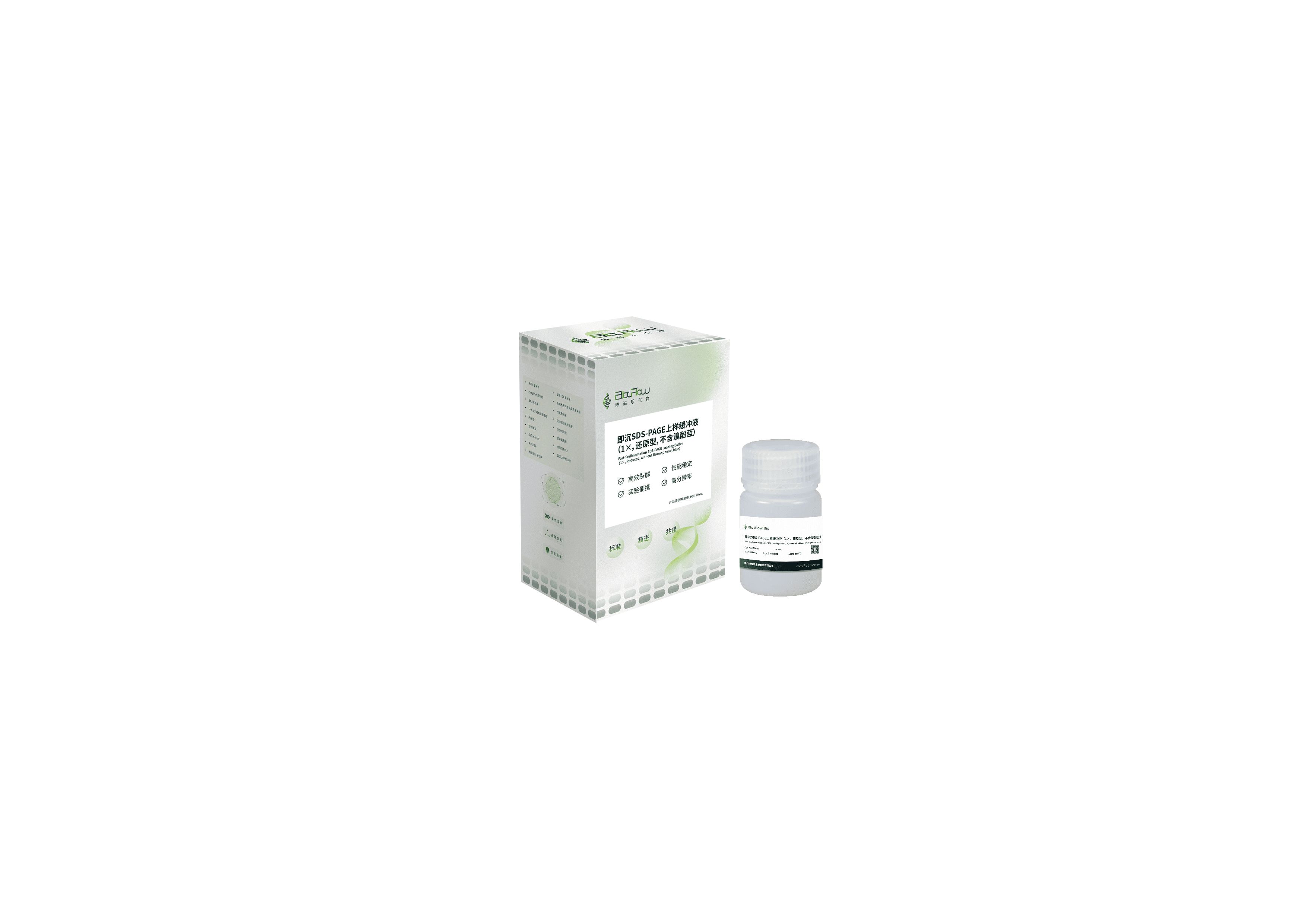 即沉SDS-PAGE上样缓冲液（1×，还原型，不含溴酚蓝）