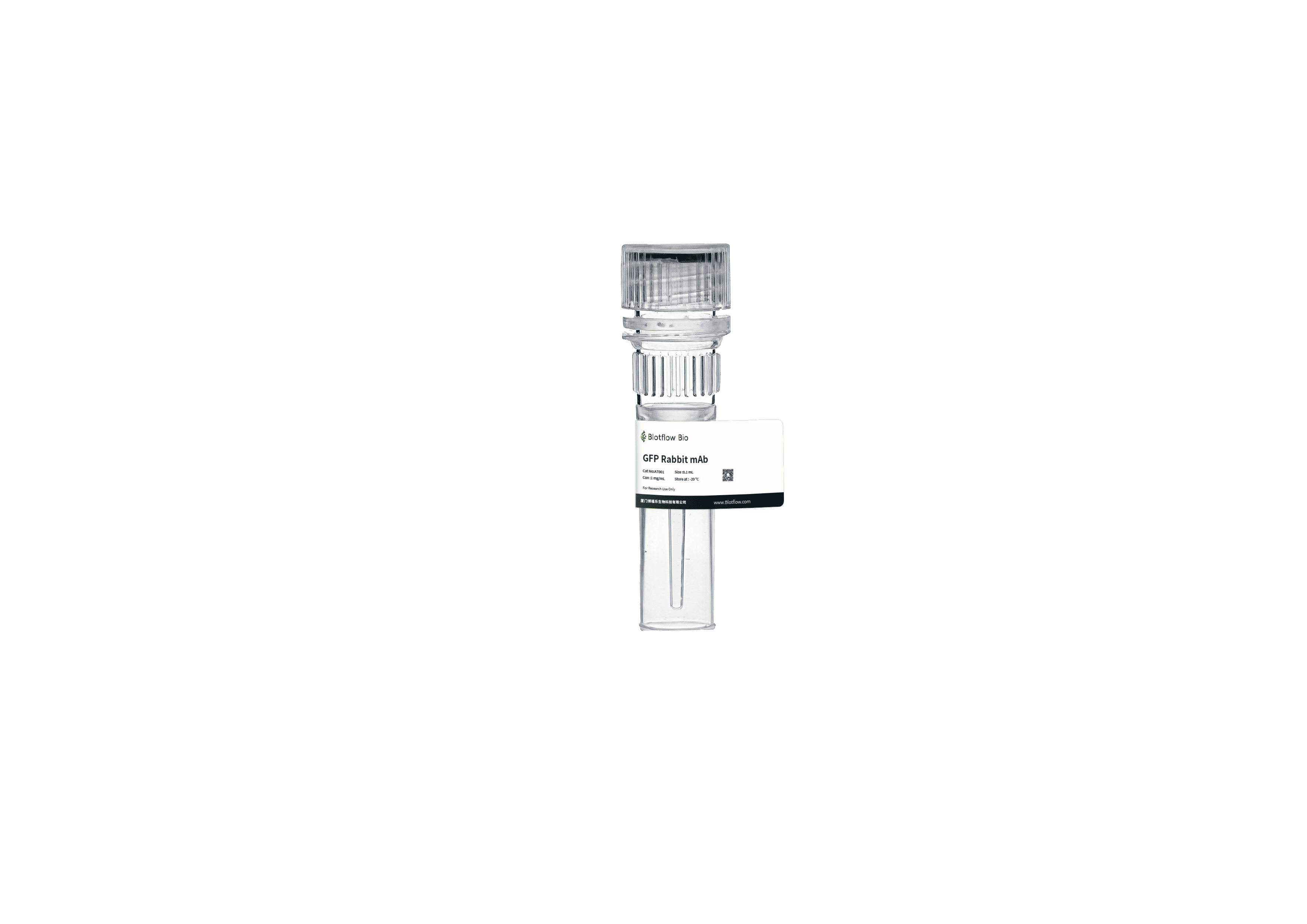 anti - GFP Rabbit  mAb