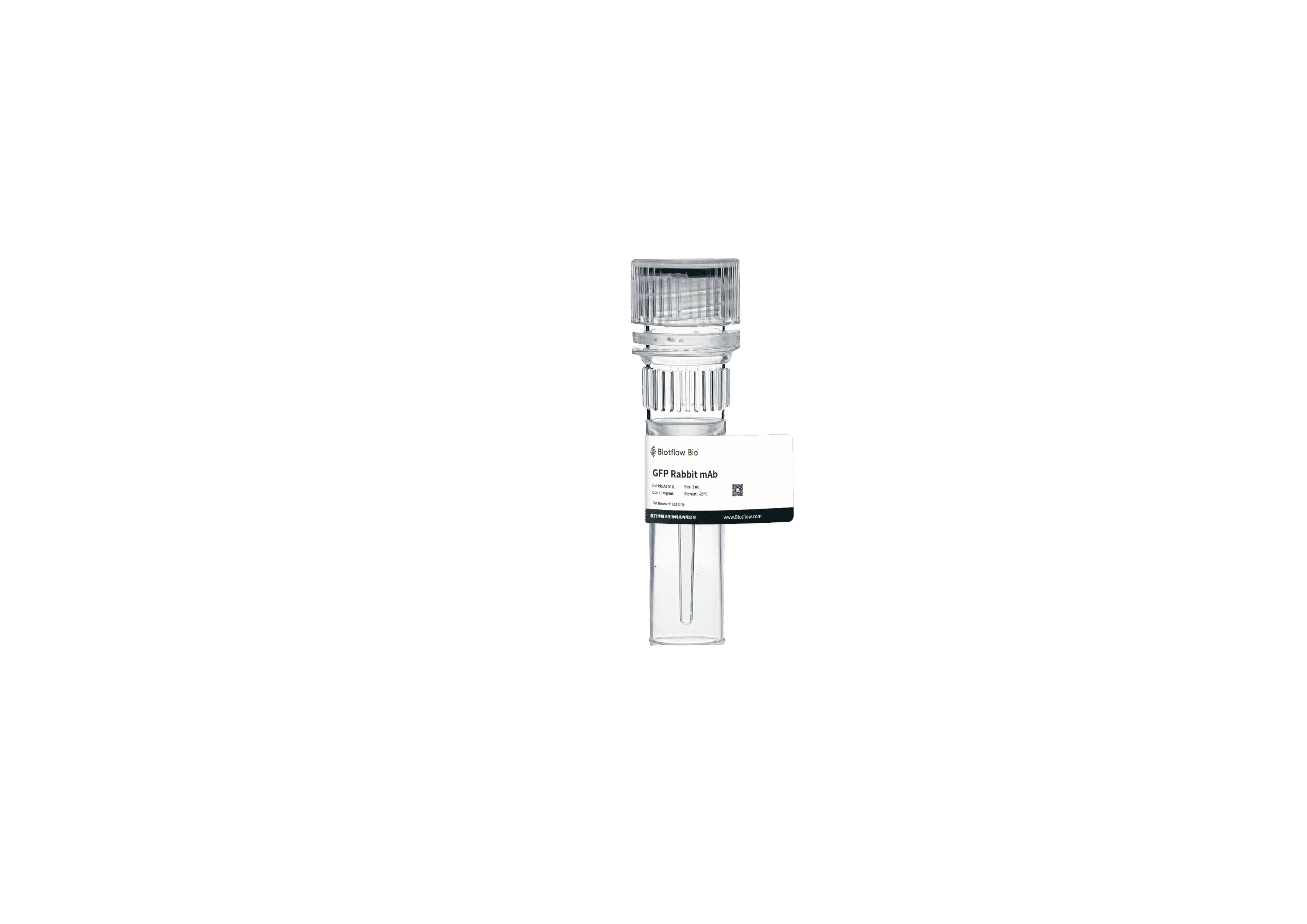 anti - GFP Rabbit  mAb