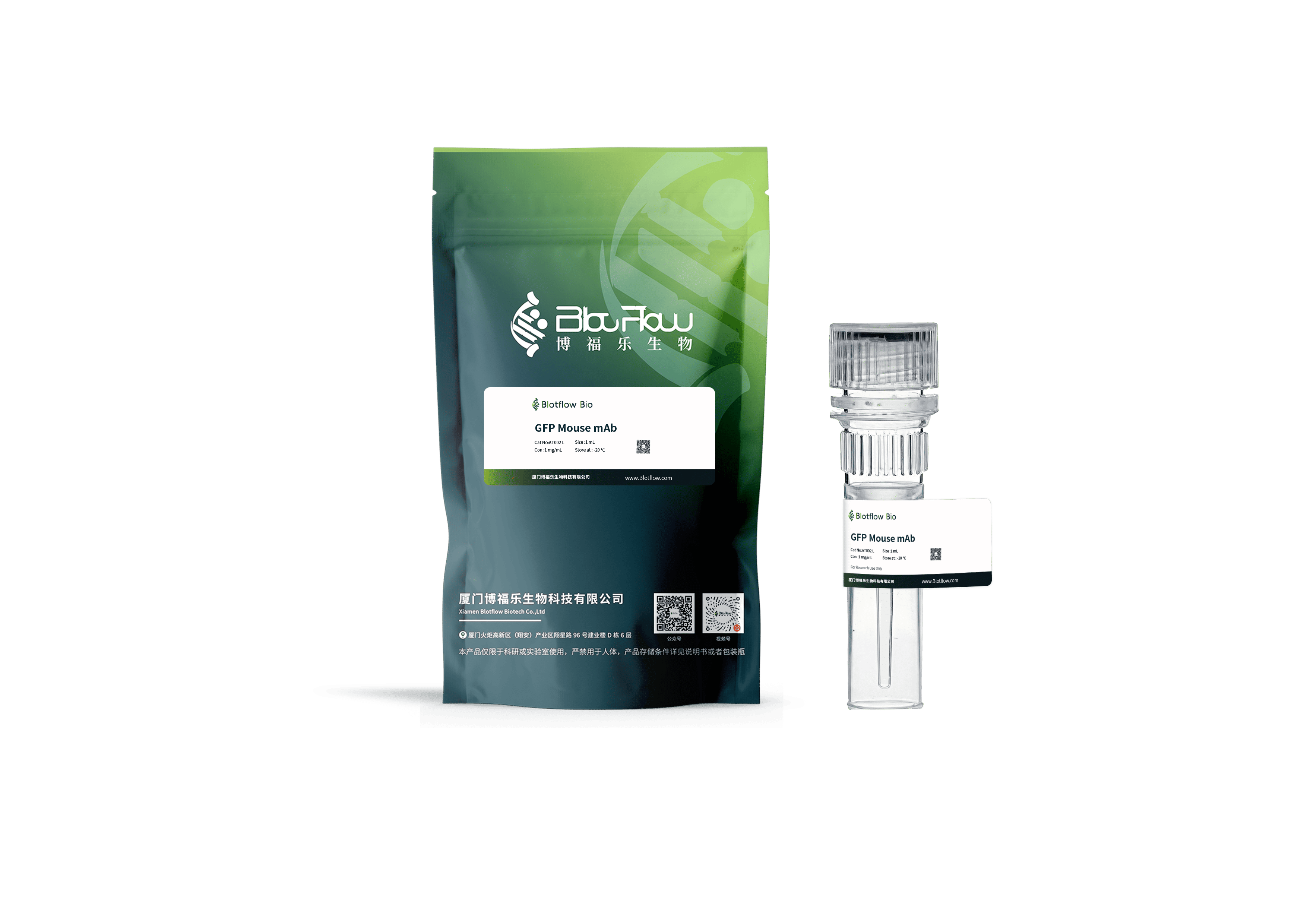 anti - GFPs MOUSE mAb