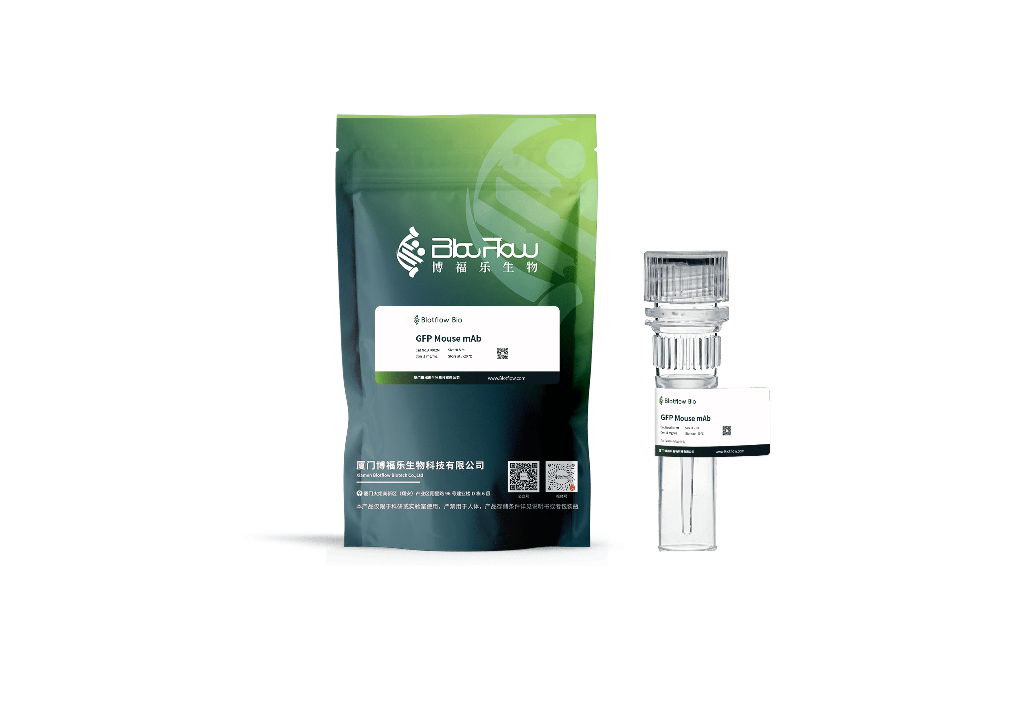anti - GFPs MOUSE mAb