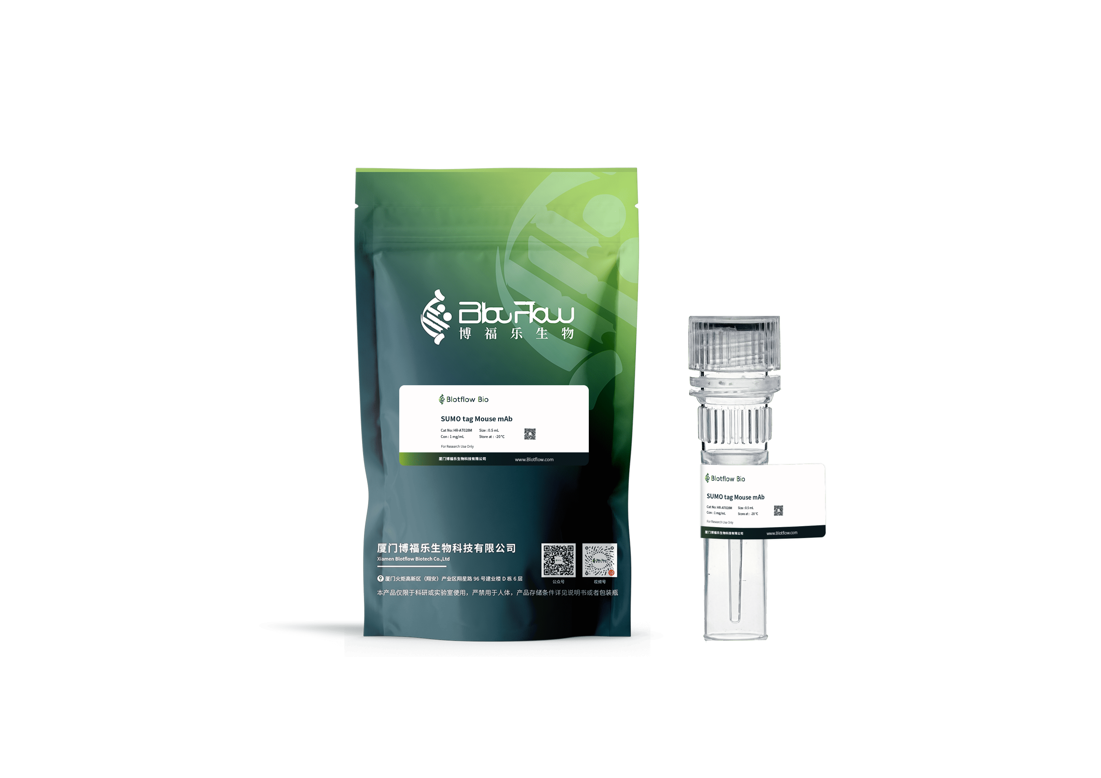 HRP-SUMO tag Mouse mAb