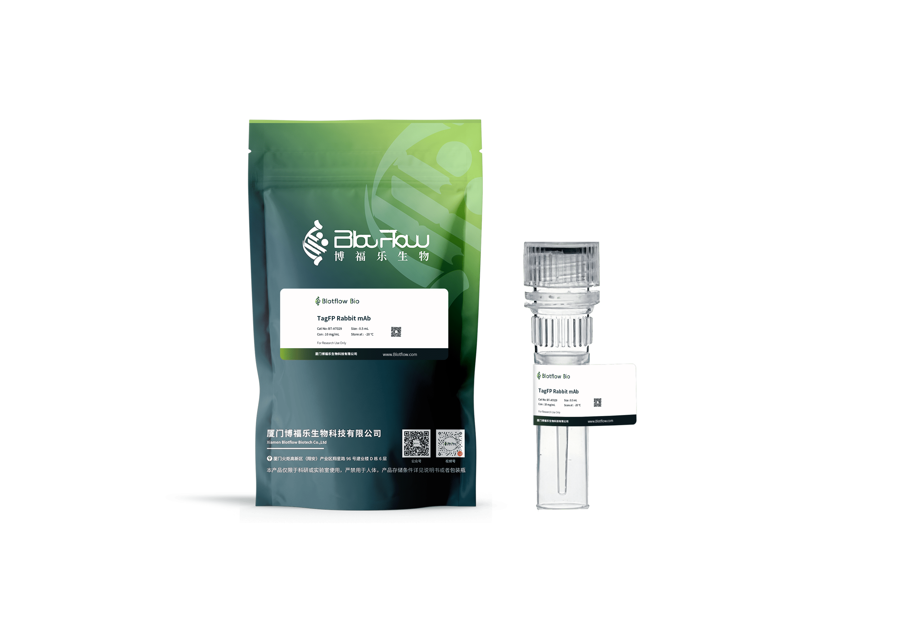 Biotin conjunct-anti-SUMO tag Mouse mAb