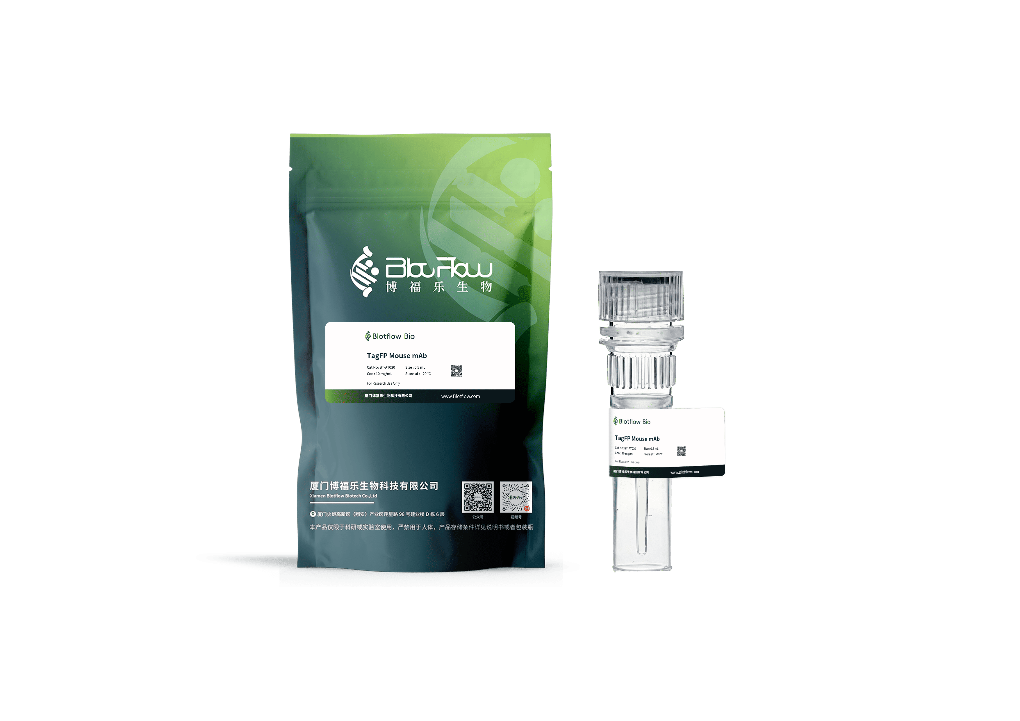 Biotin conjunct-anti-TagFP Rabbit mAb