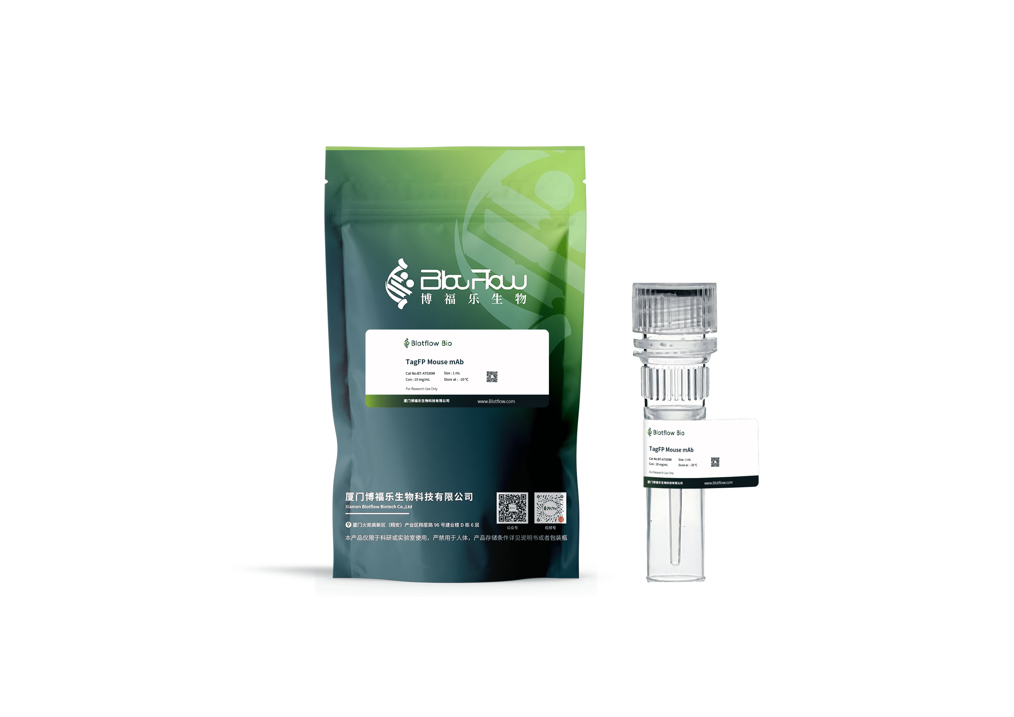 Biotin conjunct-anti-TagFP Rabbit mAb