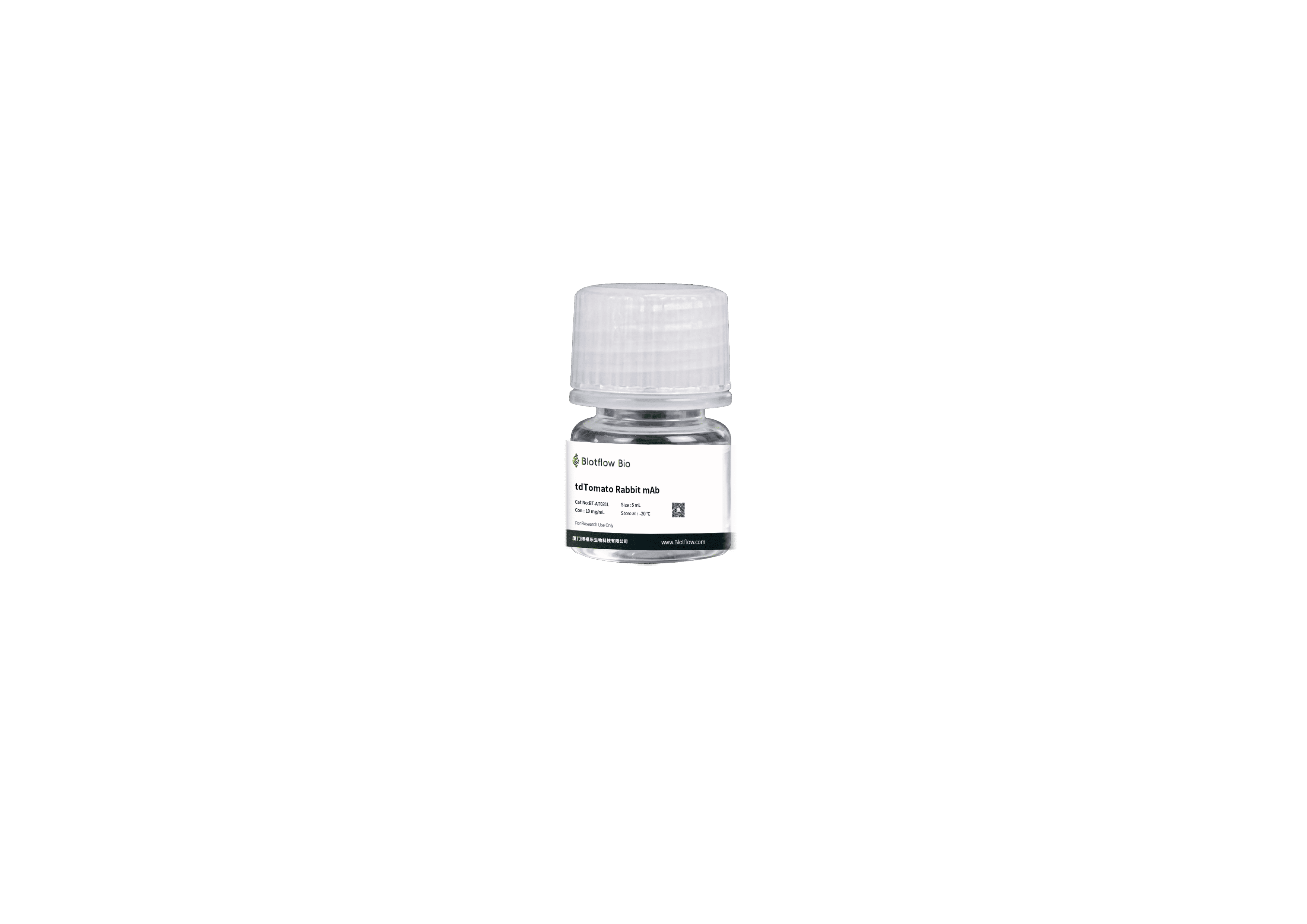 Biotin conjunct-anti-tdTomato Rabbit mAb