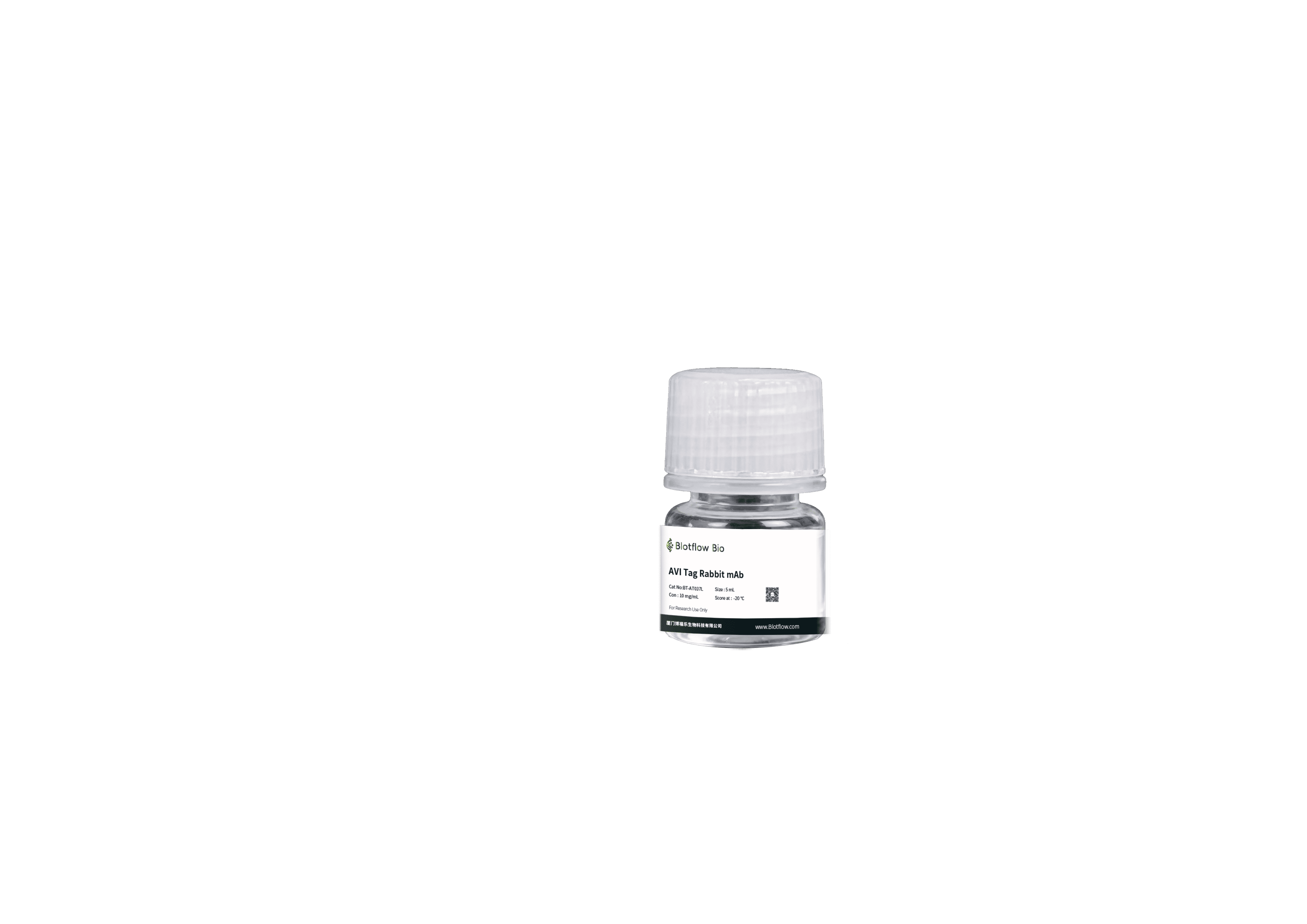 Biotin conjunct-anti-AVI Tag Rabbit mAb