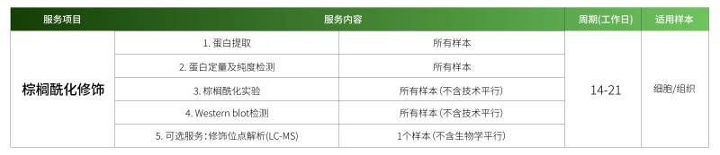 棕榈酰化.jpg