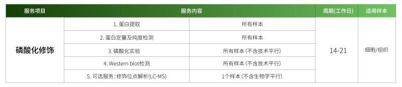 磷酸化.jpg