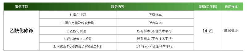 乙酰化.jpg