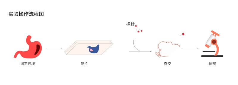 地高辛（DIG）原位杂交试剂盒-63.jpg