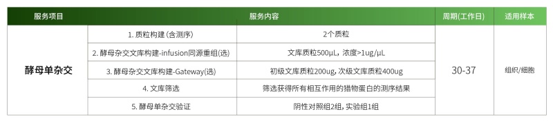 酵母单杂.jpg