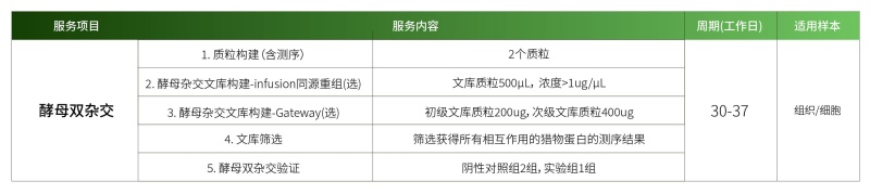 酵母双杂.jpg