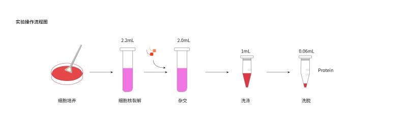 Reverse-ChIP试剂盒-41.jpg