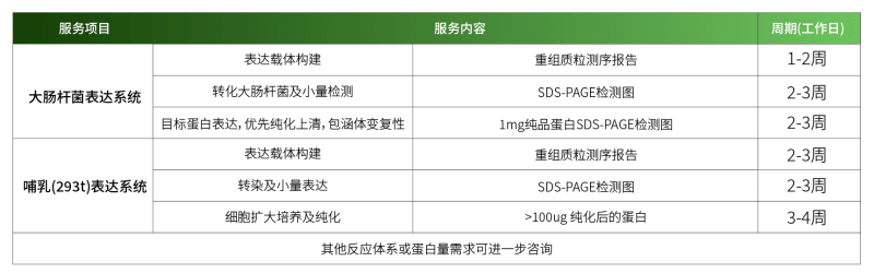 纯化表达.png